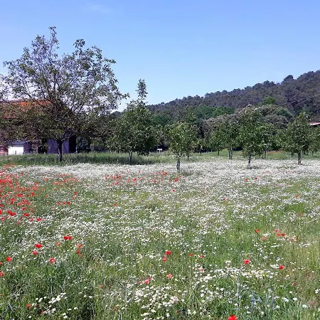 Du Bouyssou Holiday home Carsac-Aillac