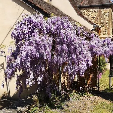Du Bouyssou Holiday home Carsac-Aillac