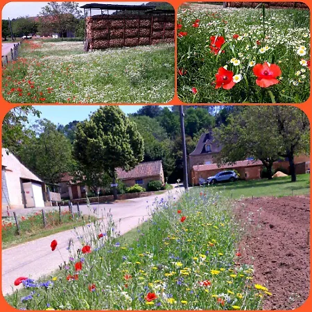 Du Bouyssou * Carsac-Aillac